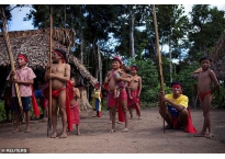 Thổ dân sống biệt lập trong rừng Amazon nhiễm Covid-19 tử vong